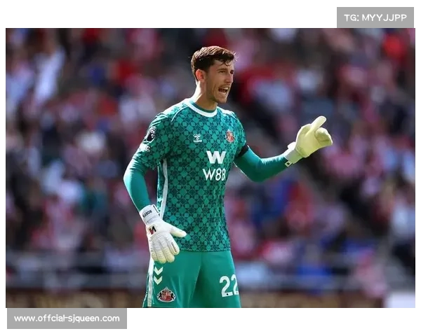 桑德兰2-1水晶宫:升班马主场逆转,格拉斯纳抱怨阵容不整