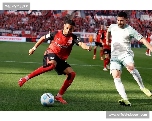 勒沃库森0-1不敌霍芬海姆,格里马尔多远射难救主